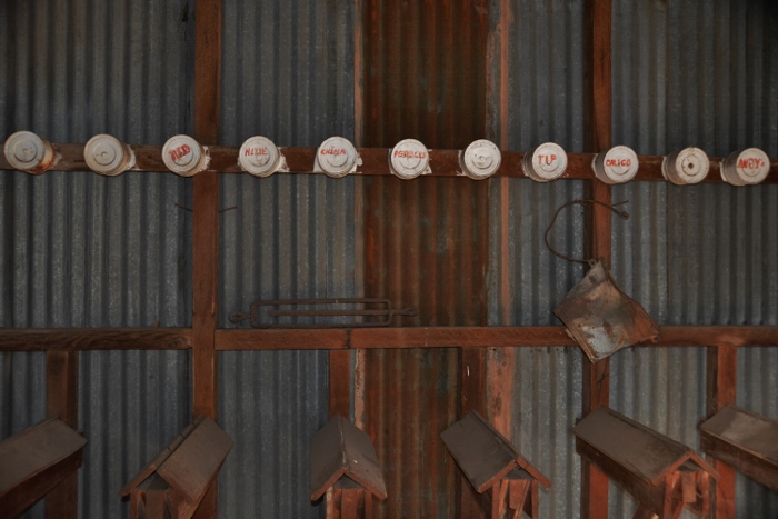 named stalls in the ranch's barn